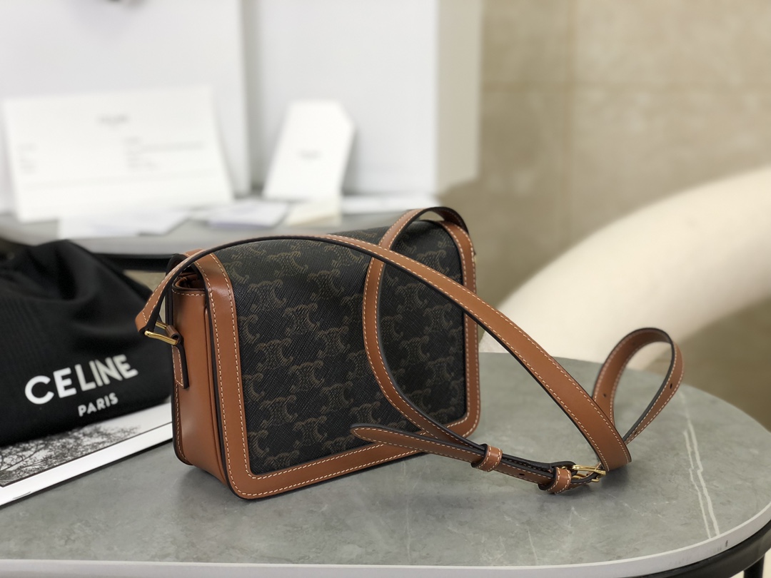 Celine Triomphe Bags